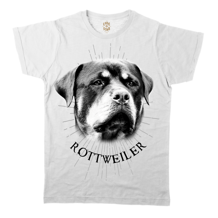Clothing for Dog Lovers