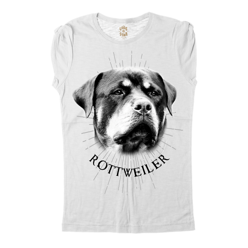Clothing for Dog Lovers