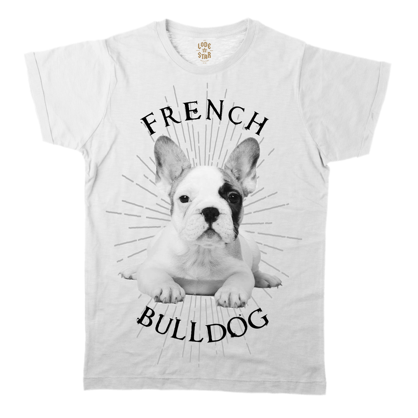 Clothing for Dog Lovers